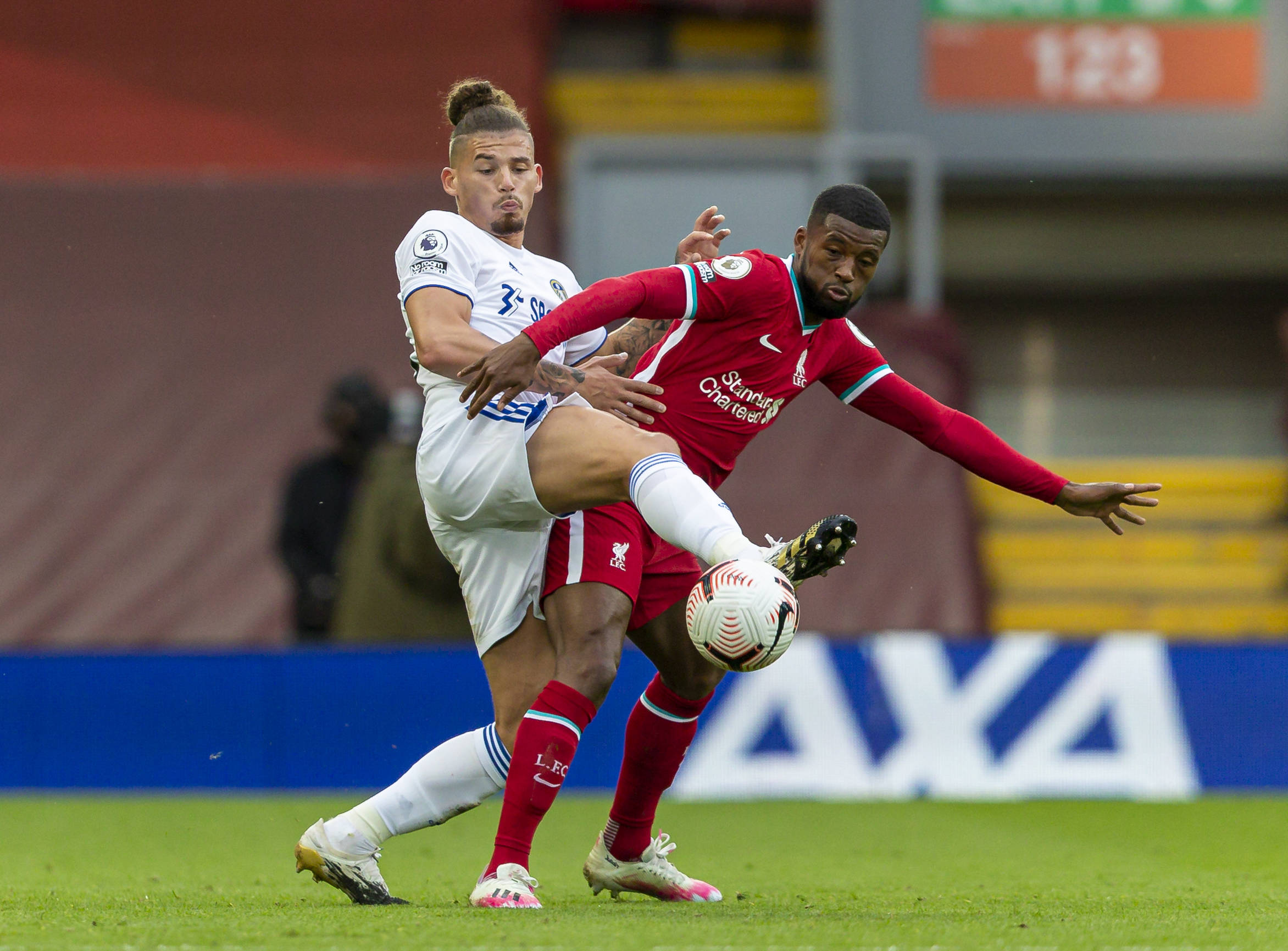 的重要组成 的重要组成