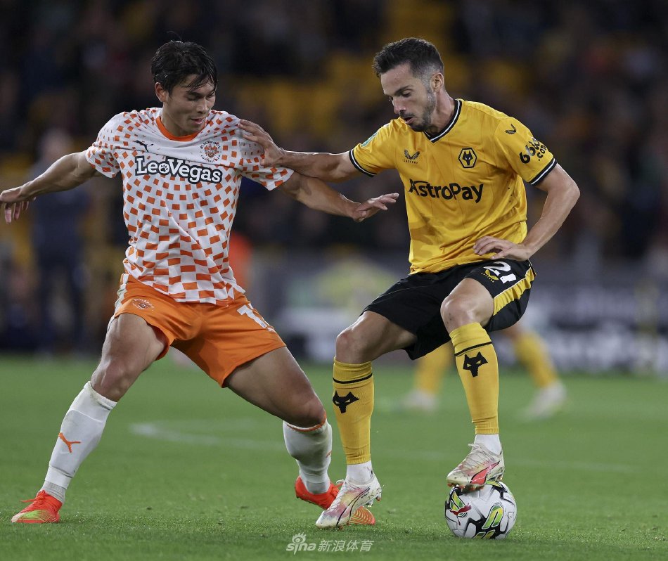 力与人气兼 力与人气兼